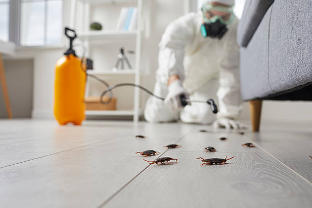 Trusted Rodent Control service in Elk Mound, WI - Nex Pest Control