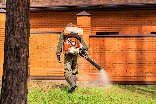 Trusted Ant Control service in Elk Mound, WI - Nex Pest Control